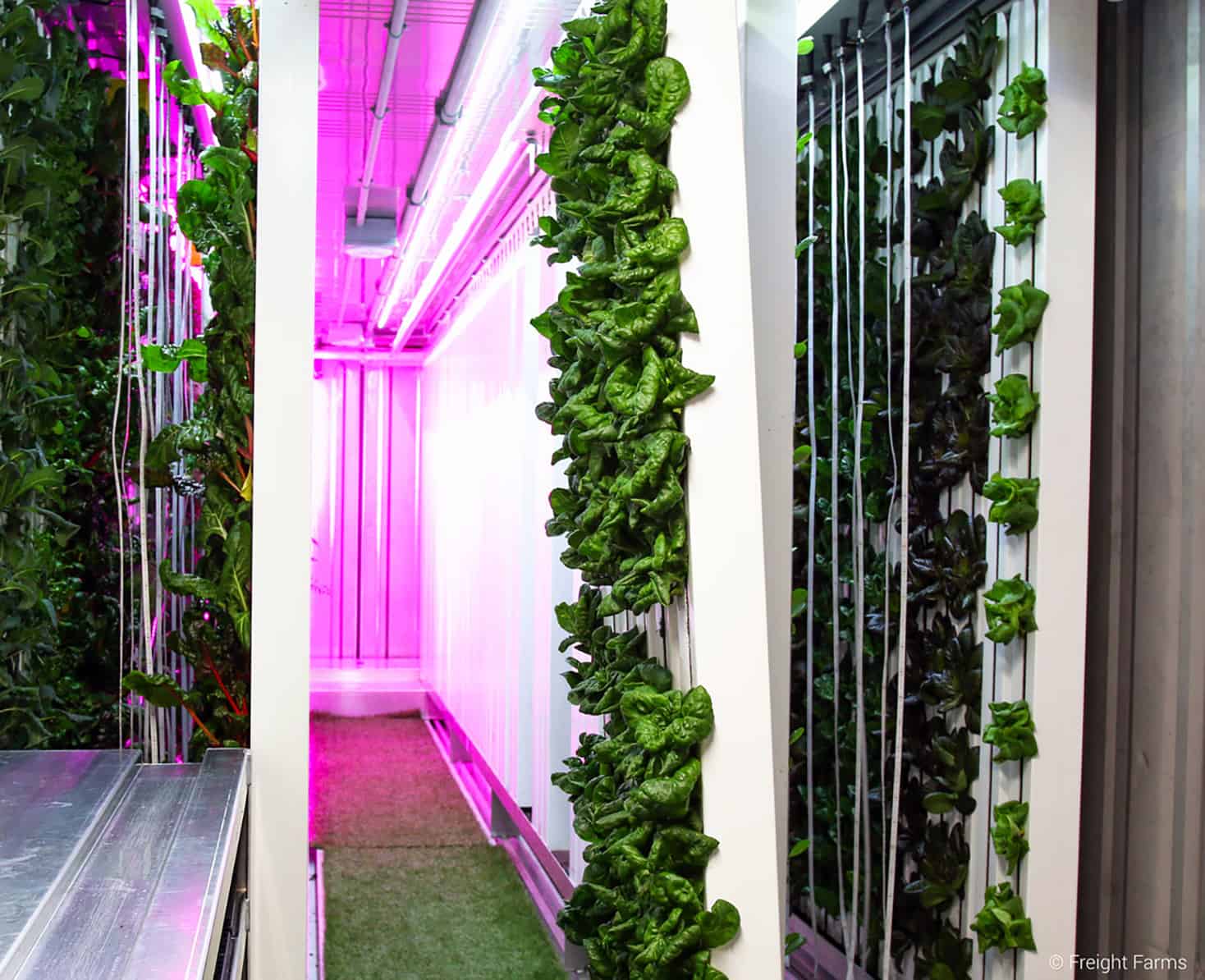 Container Farming