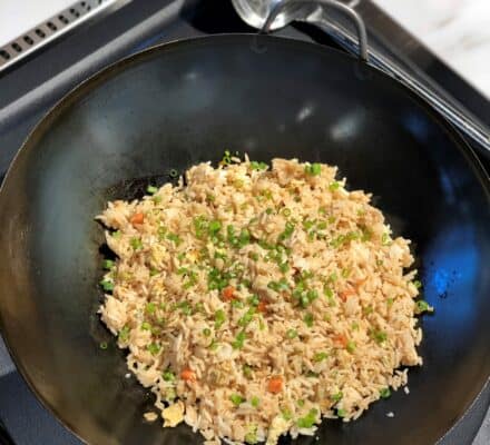 A wok filled with fried rice garnished with chopped green onions sits on a stovetop, accentuating the elegance of a luxury kitchen appliance, with a metal ladle resting nearby.
