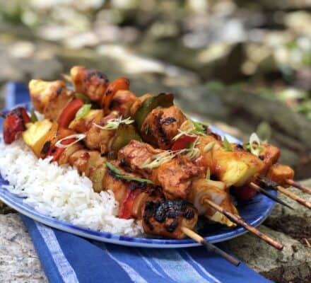 Skewers of grilled chicken and vegetables served on a bed of white rice on a blue plate, placed outdoors on a stone surface with a blue cloth underneath—prepared to perfection with a Wolf appliance.