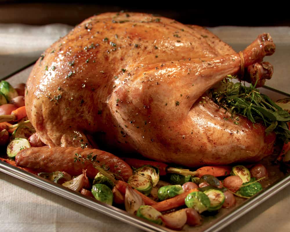 thanksgiving-dinner-roasted-turkey