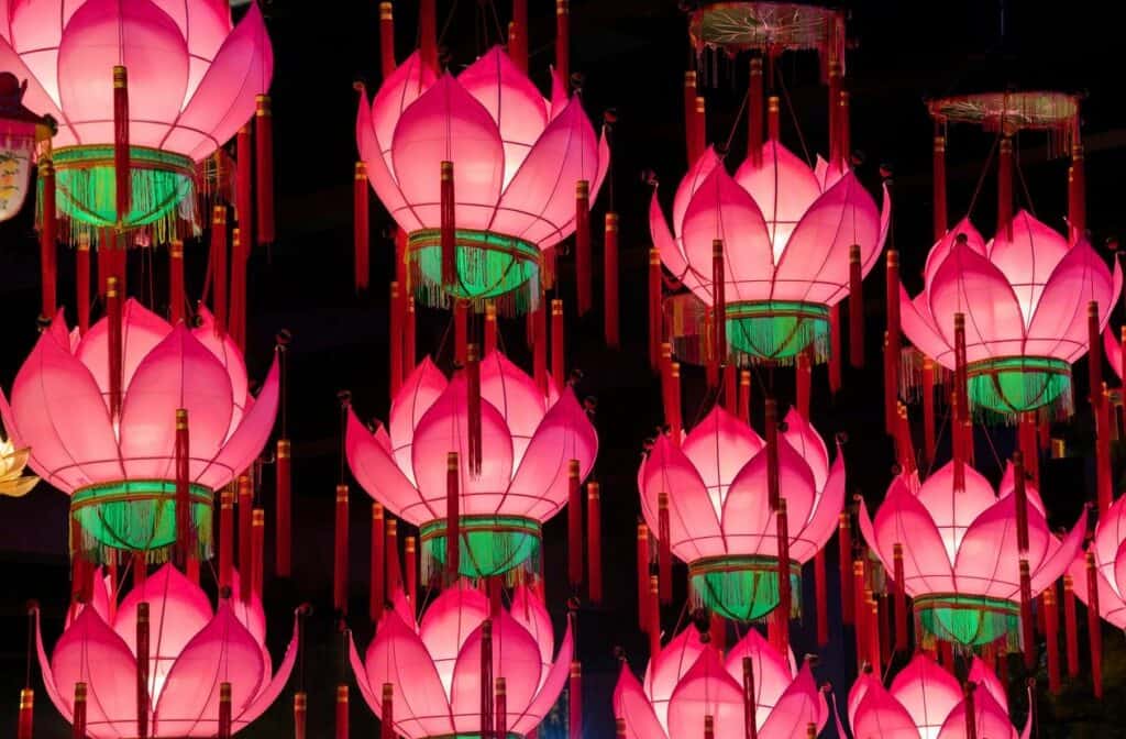 Multiple pink lotus-shaped lanterns with glowing lights hang closely together against a dark background, creating an ambiance reminiscent of an elegant kitchen showroom.