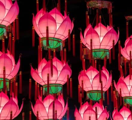 Multiple pink lotus-shaped lanterns with glowing lights hang closely together against a dark background, creating an ambiance reminiscent of an elegant kitchen showroom.