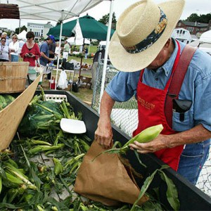 A vendor in a straw hat and red apron places fresh corn into a brown paper bag at an outdoor farmers market, reminiscent of the farm-to-table freshness often showcased in a luxury kitchen appliance showroom.