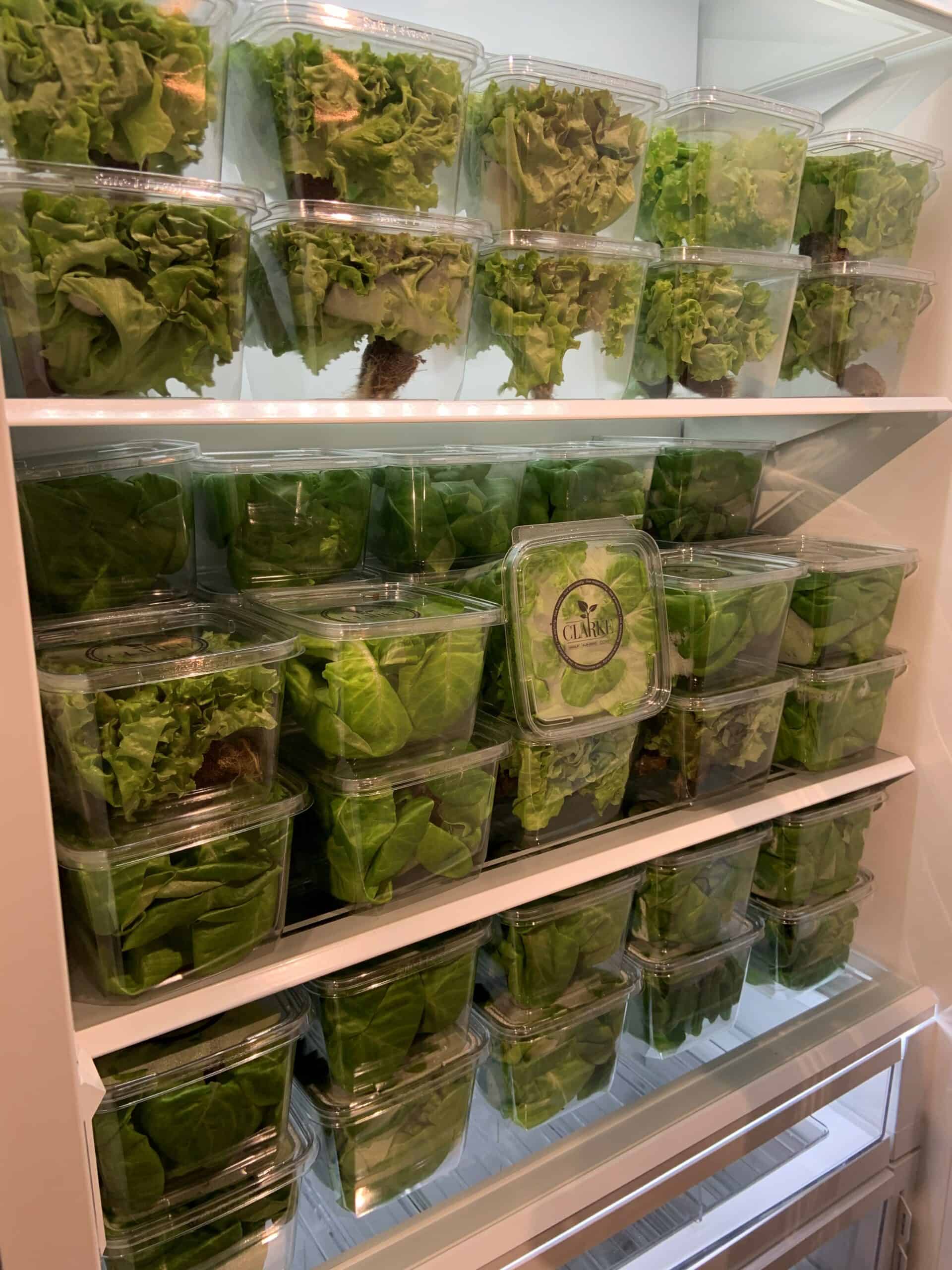 Clarke’s hydroponically grown lettuce is stored in Sub-Zero refrigerators for the ultimate in food preservation.